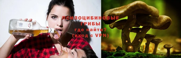 кокс Арсеньев