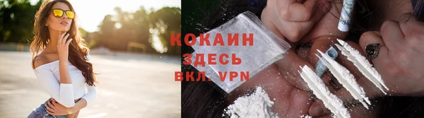 кокс Арсеньев