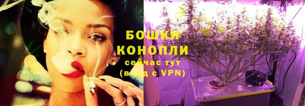 мдпв Пестово