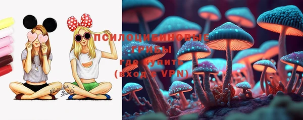кокс Арсеньев