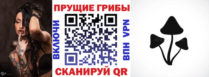 Псилоцибиновые грибы мицелий  Менделеевск 